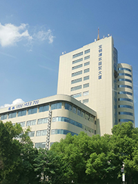 SHANGHAI AMT TRADING Co.,Ltd.